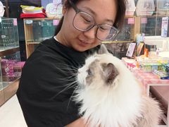 -FAELING PETS美天灵宠物(富力广场店)