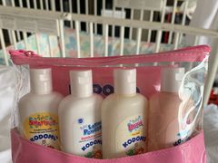 -新加坡瑞士史丹福酒店