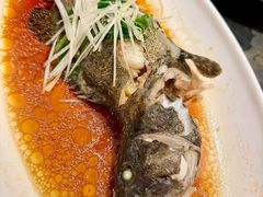 -姚江春中餐厅·太平洋大酒店