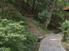 -伯先公园