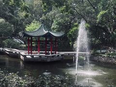 -九龙公园