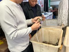 -黄记大闸蟹专卖店·活蟹·醉蟹