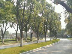 -上海玫瑰园度假酒店