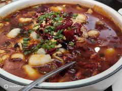 -聚丰苑北京烤鸭(大明宫店)