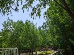 -西部长青自然儿童乐园