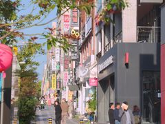 -宝健路步行街(Pedestrian Shopping Street)