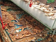 -南海底小海鲜·湘菜(鲁巷吴家湾店)