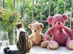 -lincat·猫舍(广州店)