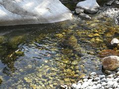 -陕西省红河谷森林公园