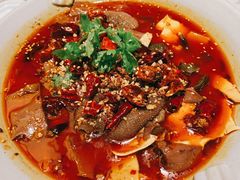 -辛香汇·现炒川菜(淮海路百盛店)
