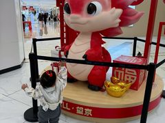 -凯德MALL(望京店)