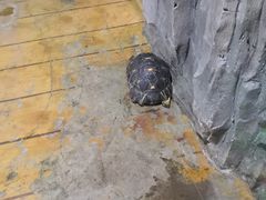 -石家庄市动物园