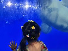 -泉城欧乐堡海洋极地世界