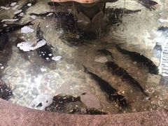 -万里闯关东铁锅炖菜馆(高新旗舰店)