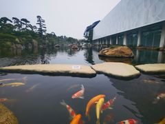 -罗红摄影艺术馆