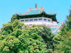 -武汉大学-樱园