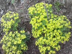 android_upload_pic-石卡雪山