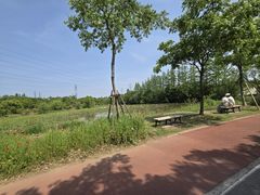 -上海长兴岛郊野公园