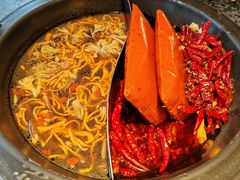 -蜀大侠火锅(总府路店)