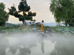 -杭州西湖柳莺里酒店