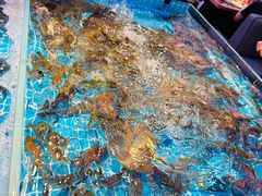 -山海•蒸汽活海鲜自助(皇庭广场店)