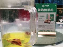 -一家人(凯旋路店)