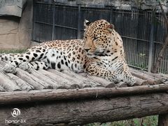 -石家庄市动物园