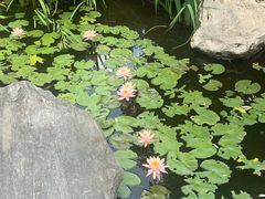 -武汉园博园(武汉自然博物馆)