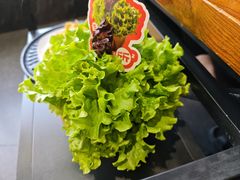-四斤烤肉(东戴河孟家店)