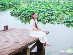 -荷塘月色湿地公园·向阳花洲
