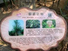 -南山植物园