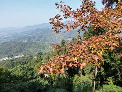 -广州市石门国家森林公园