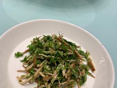香菜干丝-新吉士·上海菜(浦东LCM置汇旭辉店)