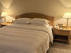 -南京维景国际大酒店(南京博物院店)