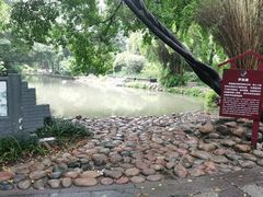 -成都市活水公园