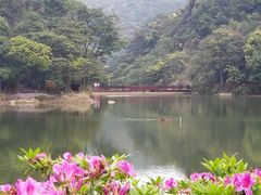 -广州市石门国家森林公园