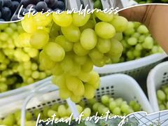 -马陆小张葡萄园农家乐