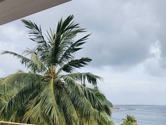 -日落吧·海景咖啡厅·餐酒吧·鸡尾酒·下午茶·乐队表演·浪漫夕阳·三亚文华东方酒店