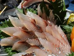 -深蓝金枪·深海鱼刺身(香洲店)