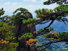 -黄山风景区