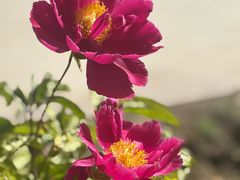 -巴音郭楞蒙古自治州博物馆