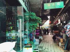 -武汉花鸟市场