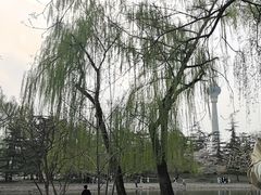 -大书房咖啡(中传国交店)