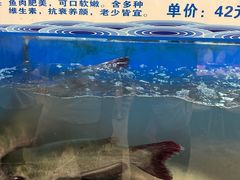 -舒来喜鱼锅(伊河路店)