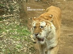 -杭州野生动物世界