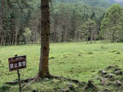 -硗碛藏寨·神木垒景区