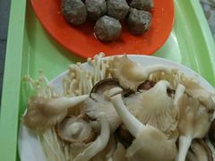 -15年老字号鑫鑫猪肚鸡·椰子鸡海南火锅(兴隆华侨农场店)