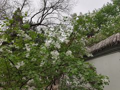 -宣武艺园