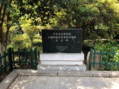 -莲湖公园