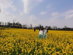 -白鹭湾湿地公园